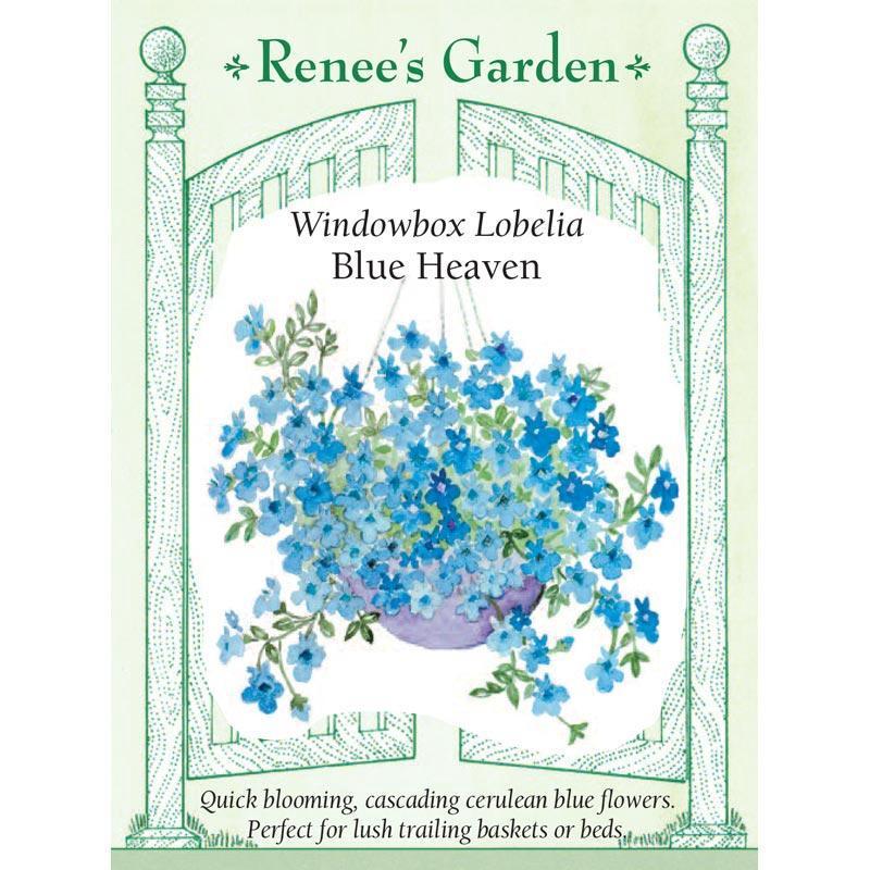 Blue Heaven Windowbox Lobelia Flower Seeds