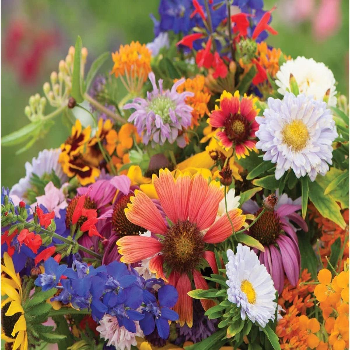 Mix Apple Blossom Flower Seeds for Planting | Heirloom Non-GMO Organic Garden Seeds