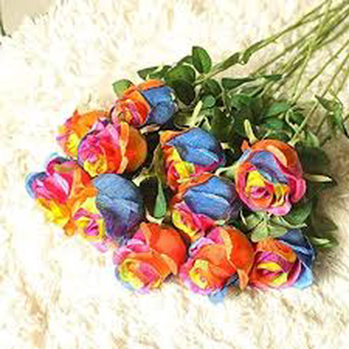 Rainbow Rose Seeds - Pieces for DIY Garden & Beautiful Striped Bushes