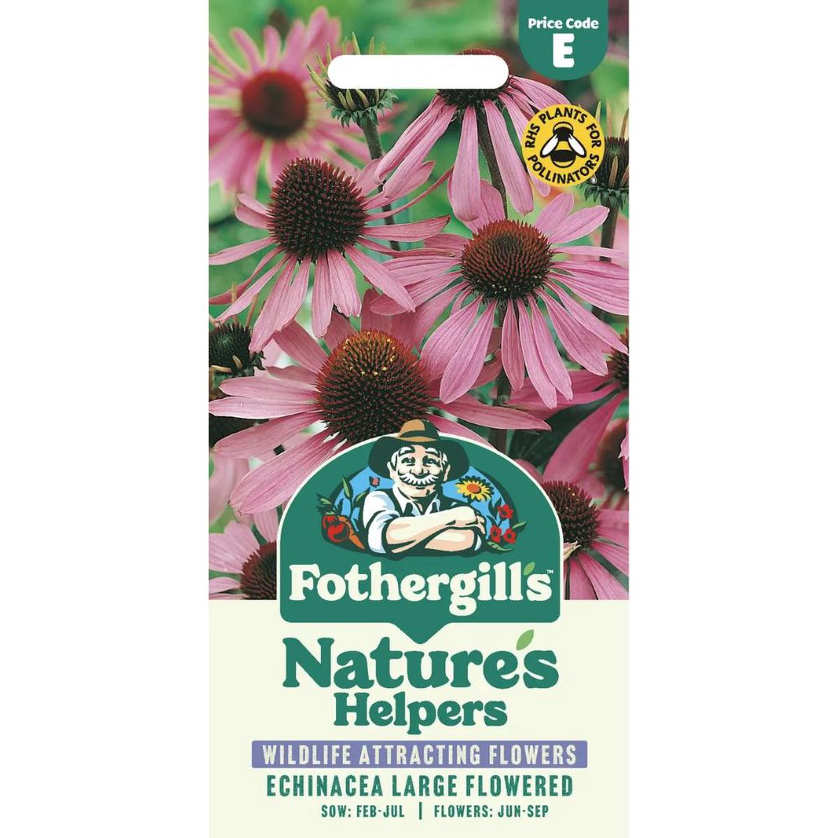Mr Fothergill's Echinacea Large Coneflower Seeds - Purple