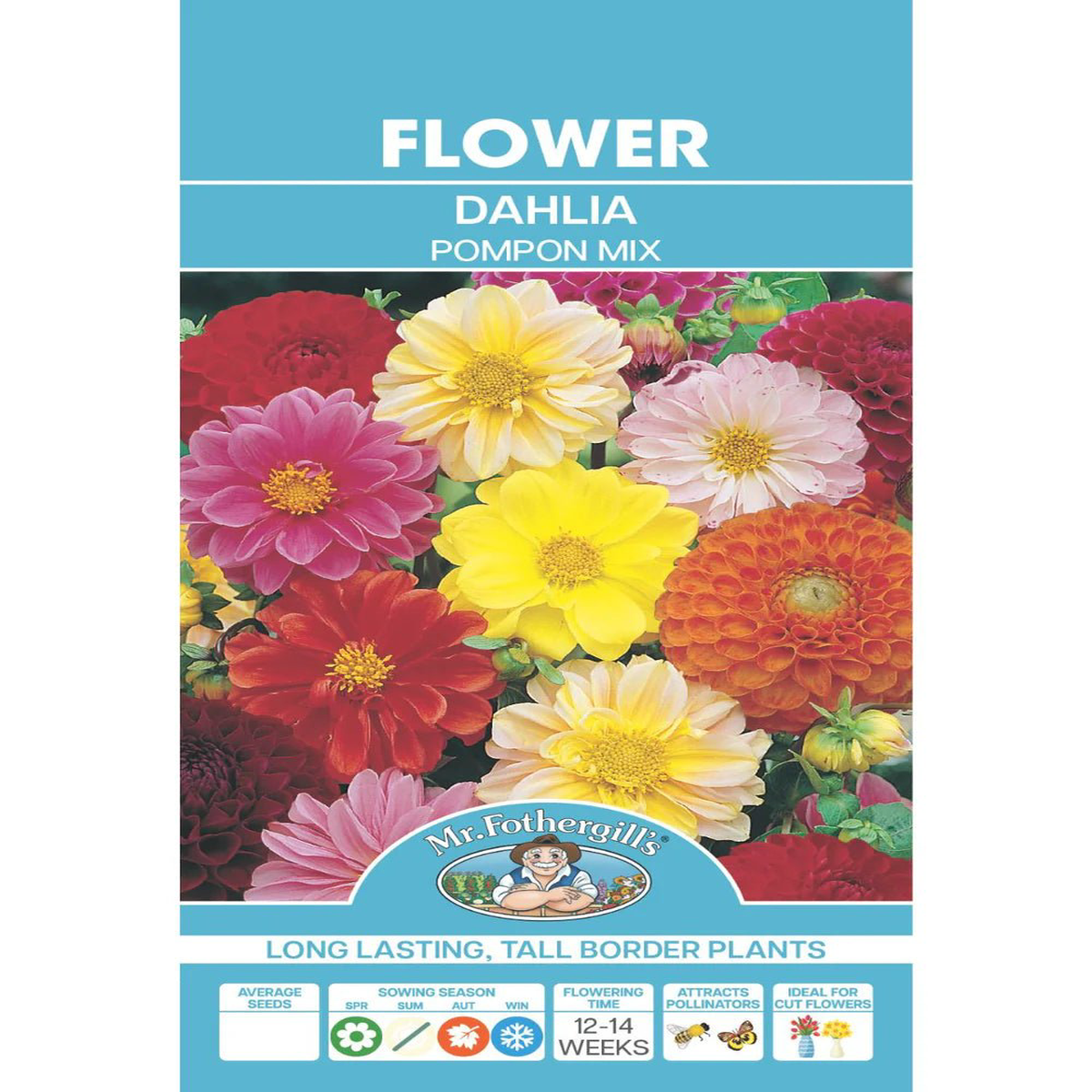 Mr Fothergills Dahlia Pompon Mix