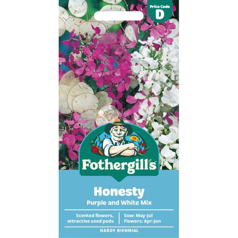 Honesty Purple & White Mixed