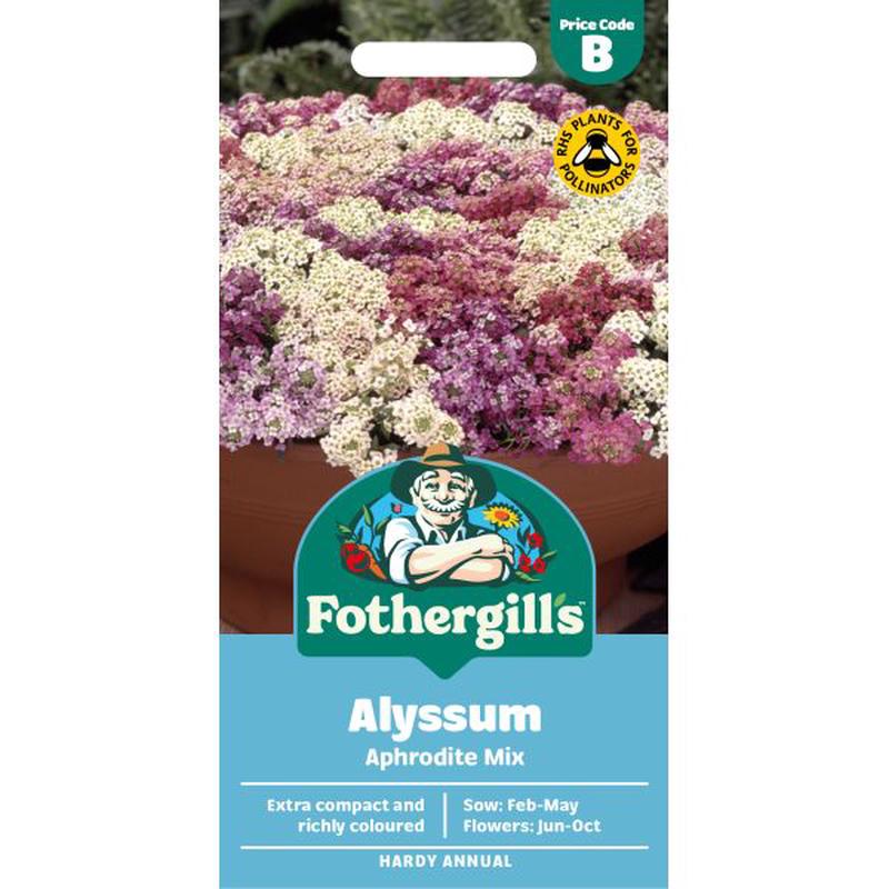Alyssum Aphrodite Mixed Flower Seeds