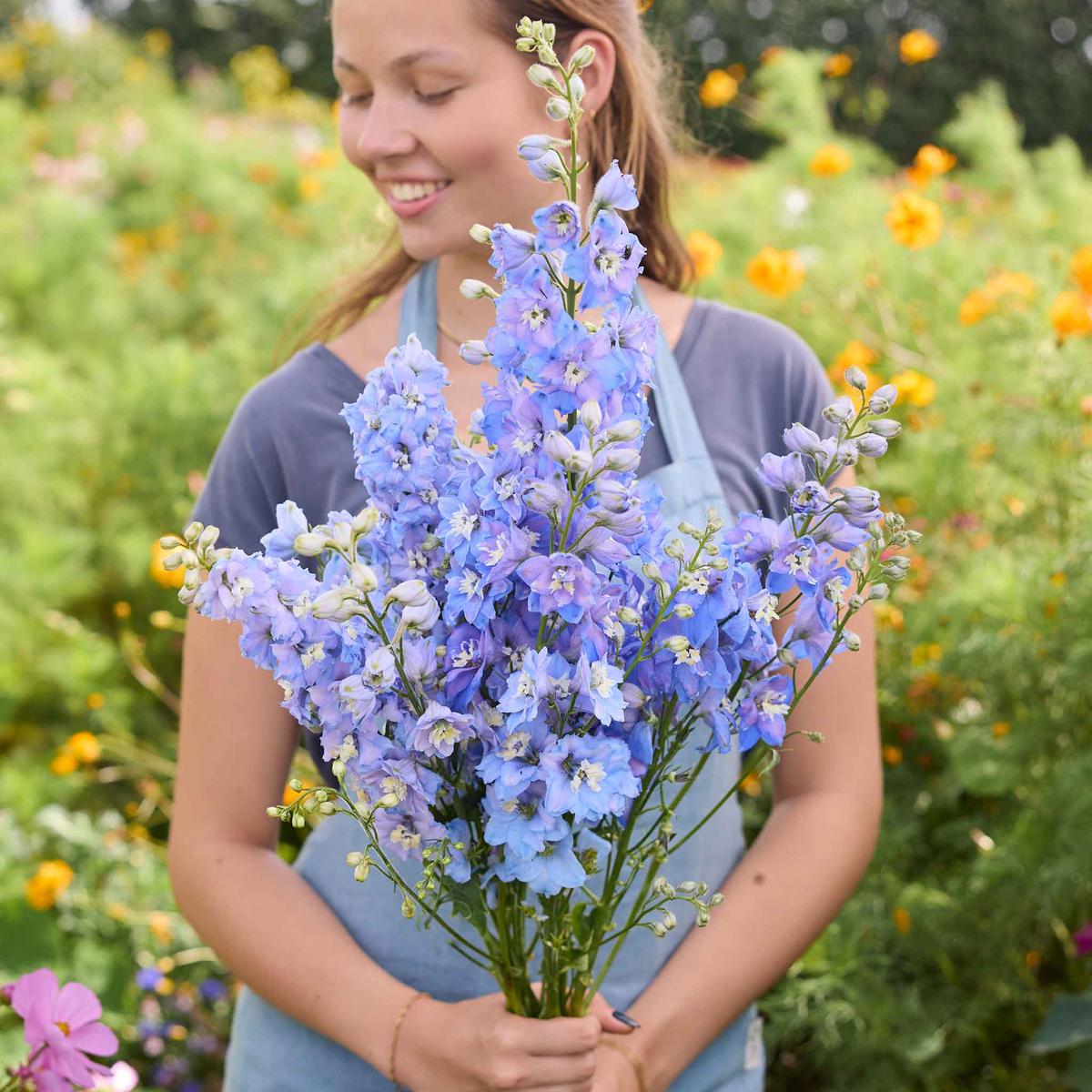 Delphinium Seeds - Magic Fountains Sky Blue White Bee