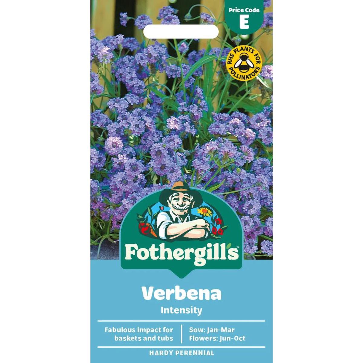Mr Fothergill's Verbena Intensity Seeds