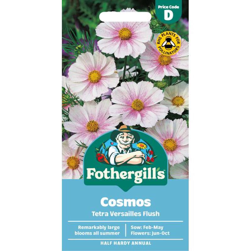 Cosmos Tetra Versailles Flush Seeds