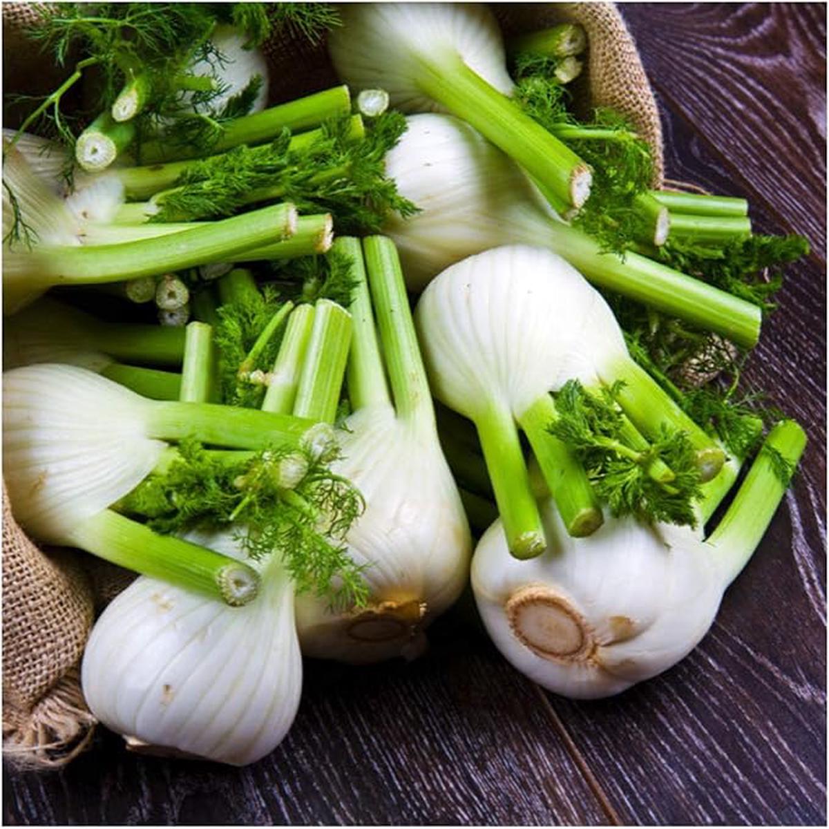 Fennel Seed (Foeniculum Vulgare, Heirloom) Organic, Non-GMO + Seeds