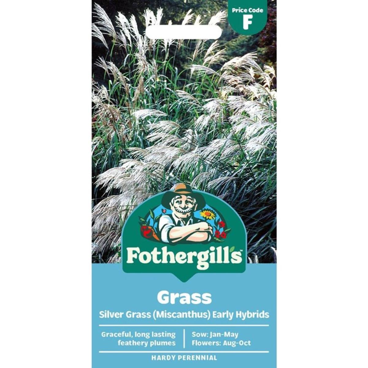 Mr Fothergill's Grass Silver Grass - Miscanthus sinensis Early Hybrids Seeds