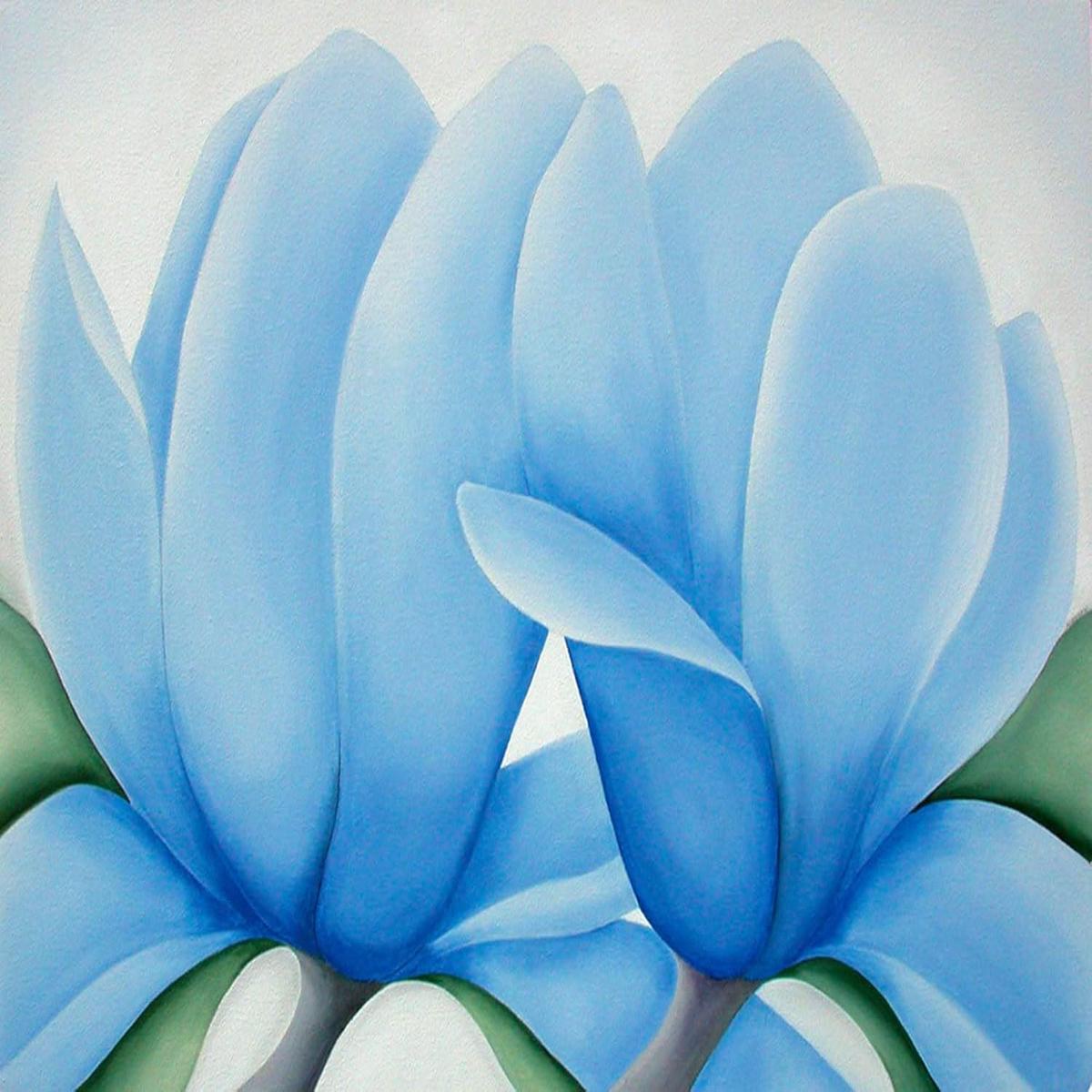Sky Blue Cyclamen Flower Seeds for Planting NON GMO Seeds -100 pcs
