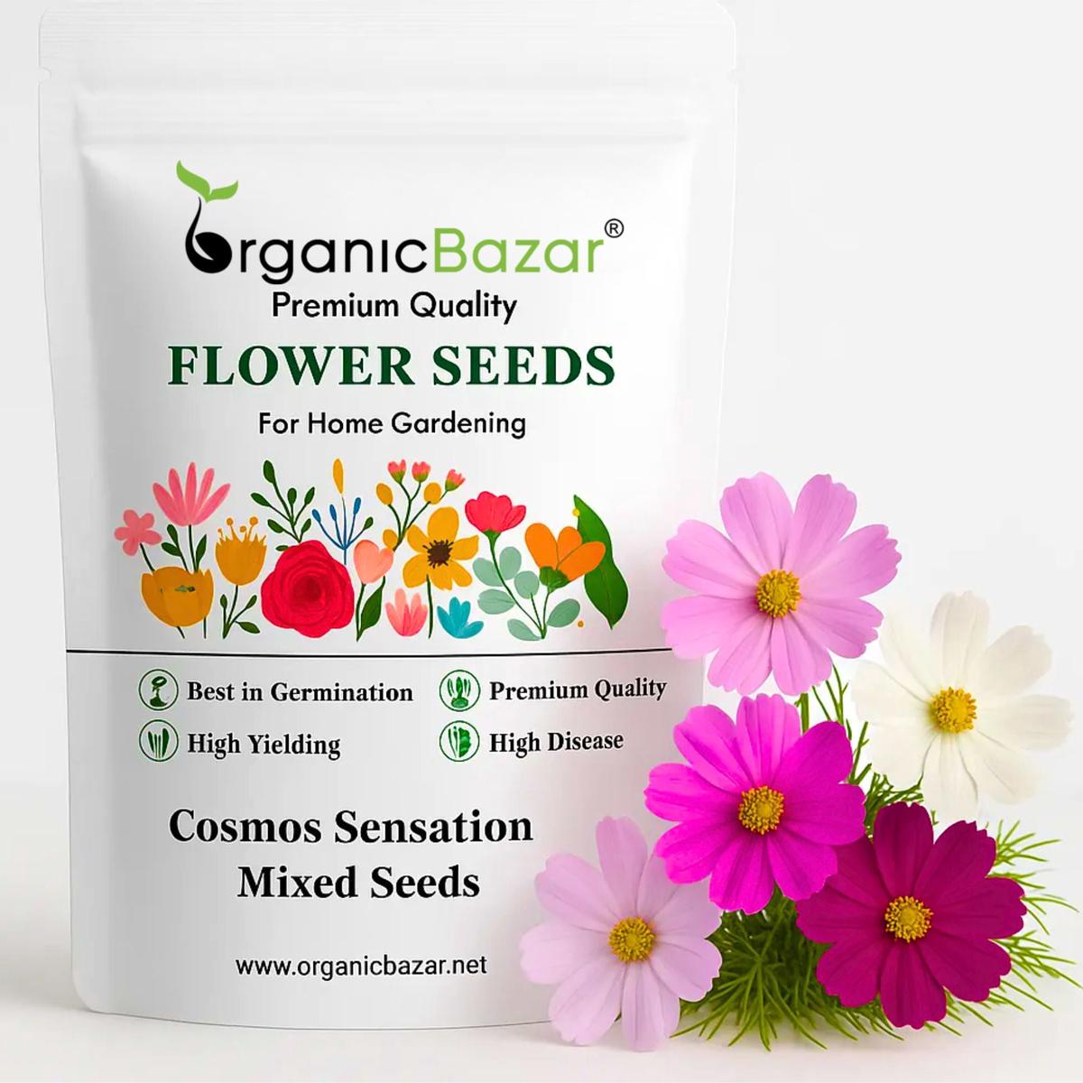 Cosmos Sensation Mixed Seeds (100 Seeds) Easy To Grow, High Germination,Perfect for pots, balconies, or Terrace gardens