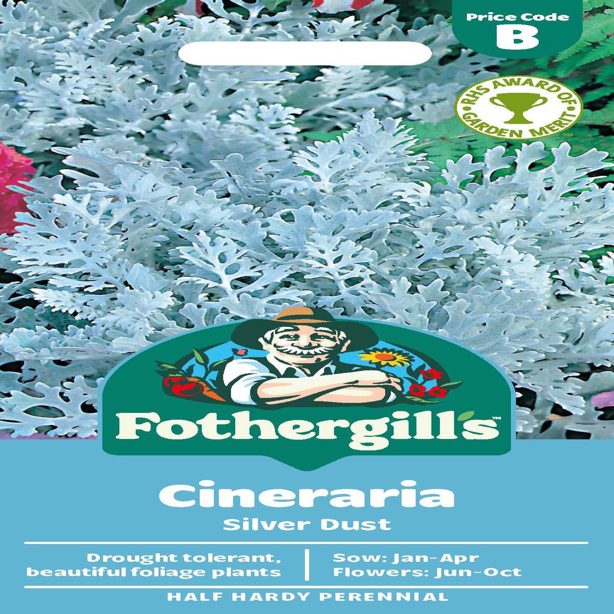 Fothergills Cineraria Silver Dust Seeds