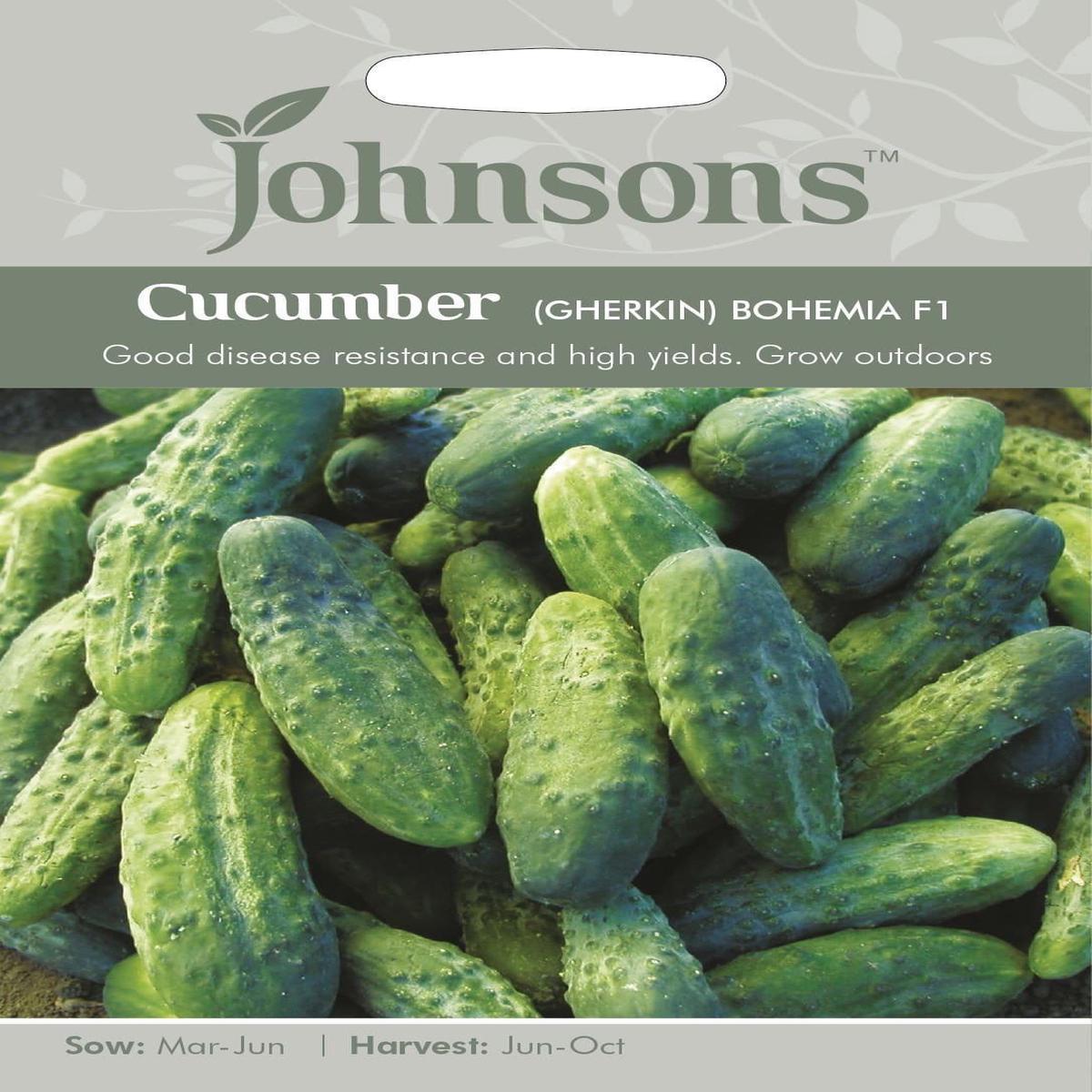 Johnsons Cucumber Gherkin Bohemia F1 20 Seeds