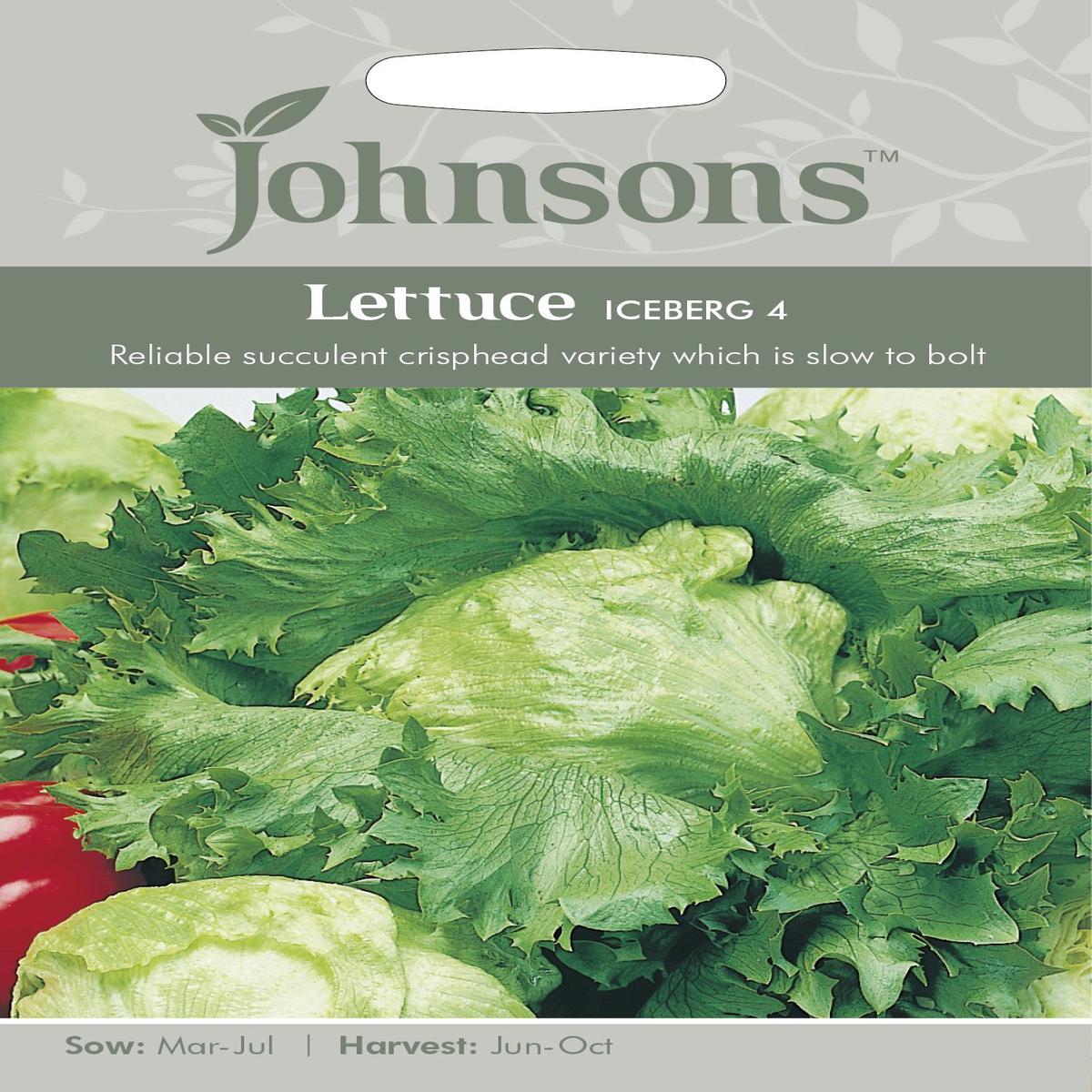LETTUCE Iceberg 4 **