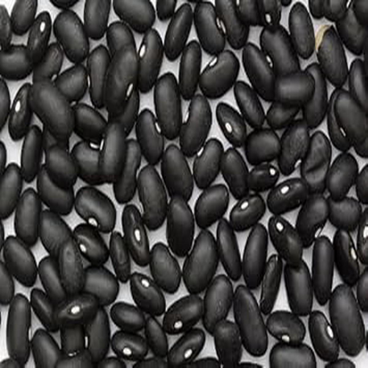 Black Bean Vegetable Seeds for Planting Heirloom & Non-GMO Organic Garden Seeds with High Germination