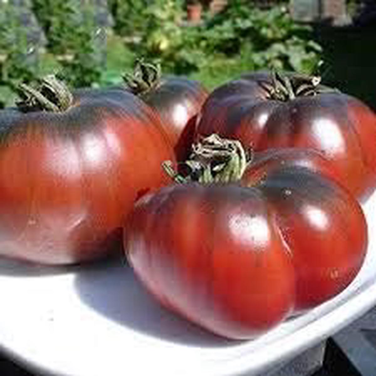 Black Red Huge Tomato Seeds for Planting  Heirloom, Non-GMO, High Germination Organic Garden Seeds