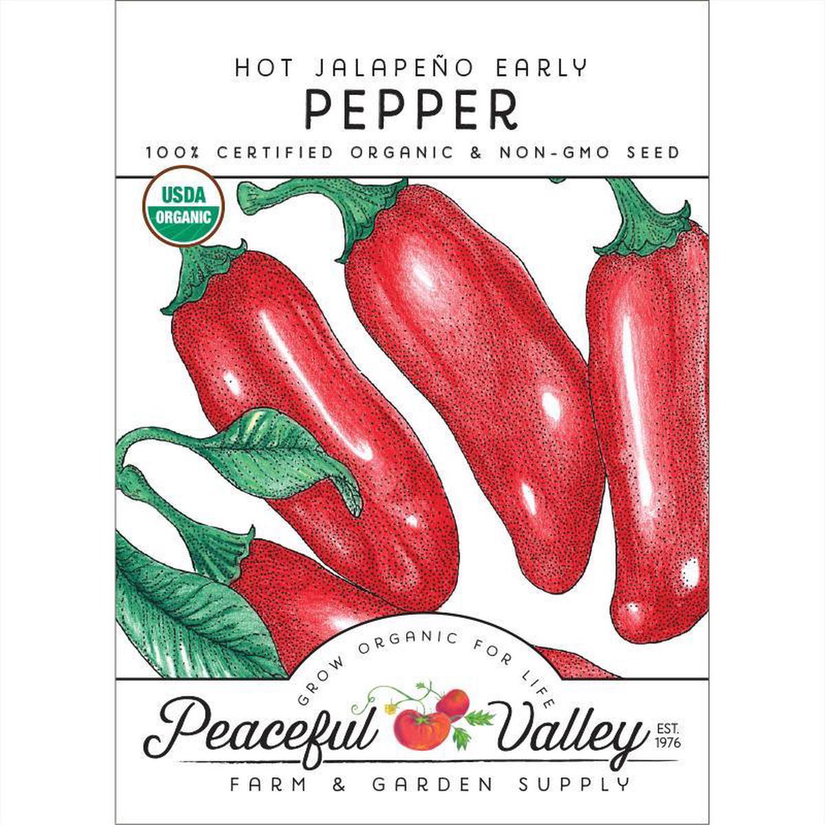 Hot Jalapeno Early Pepper Seeds