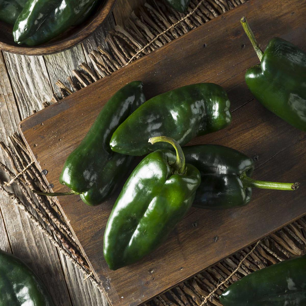 Hot Pepper Seeds (Organic) - Ancho Poblano