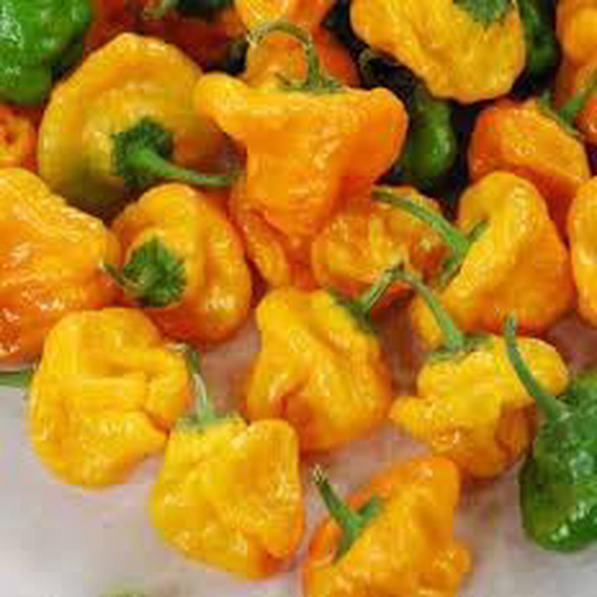 Scotch Bonnet Vegetable Seeds for Planting - 100 Pcs pcs