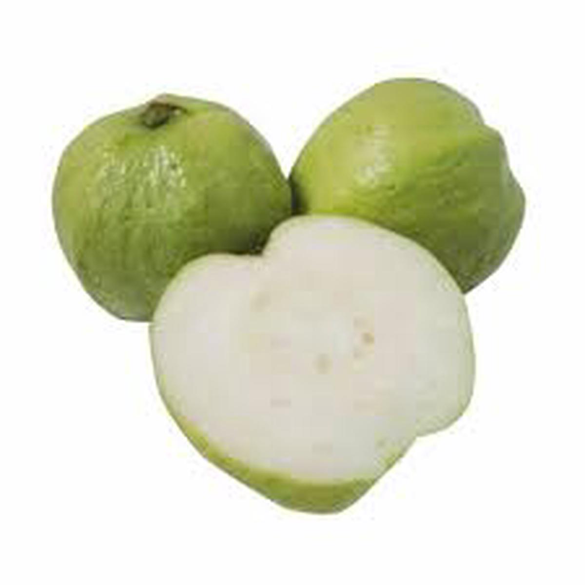 Crystal Guava (Indonesia) Fruit Seeds for Planting  Sweet Tropical Harvests, Heirloom & Non-GMO Seeds
