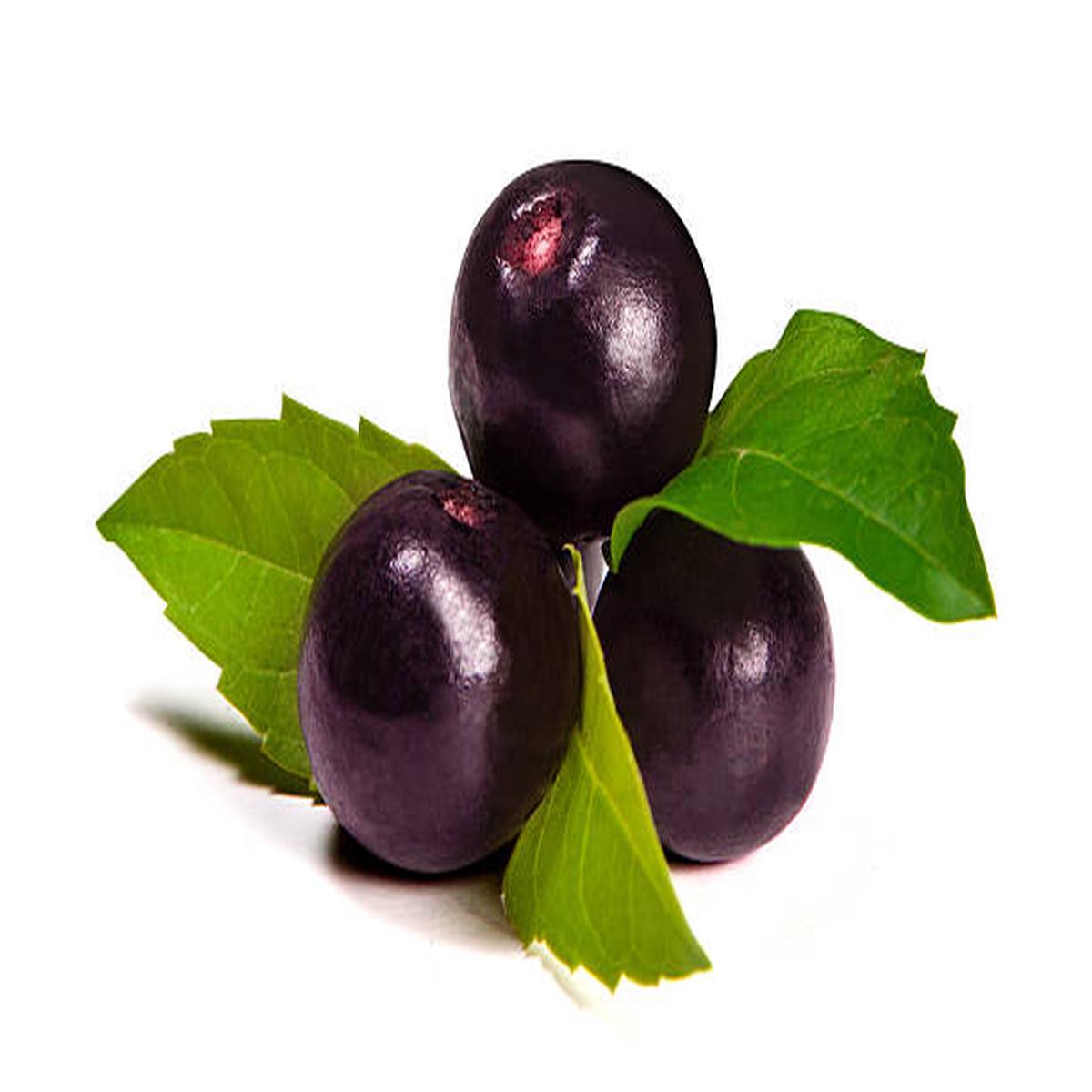 Acai Fruit Seeds for Growing Nutrient-Rich Berries  Heirloom Non-GMO High Germination Organic Garden Seeds