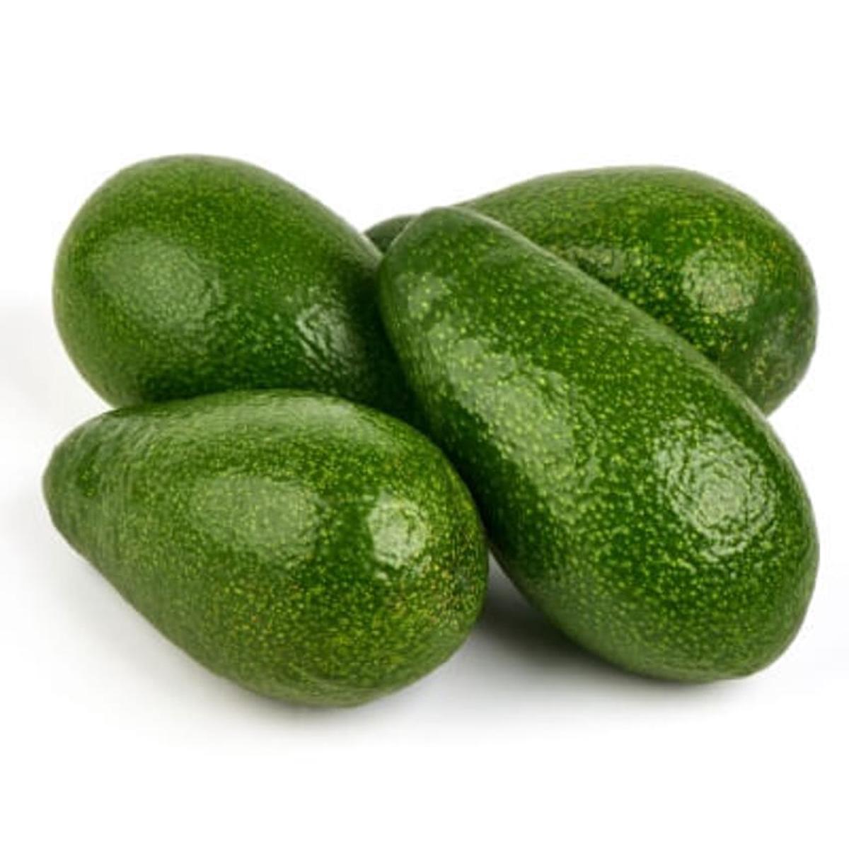 Zutano Avocado Fruit Seeds for Planting Heirloom, Non-GMO, High Germination Organic Garden Seeds for Growing Avocados in Cooler Climates