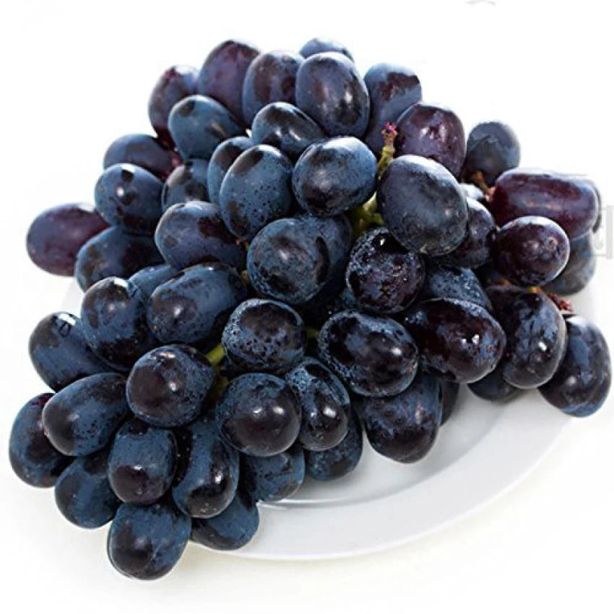 Actinidia Polygama Jaboticaba Black Brazilian Grape Fruit Seeds for Planting  Heirloom Non-GMO High Germination Seeds