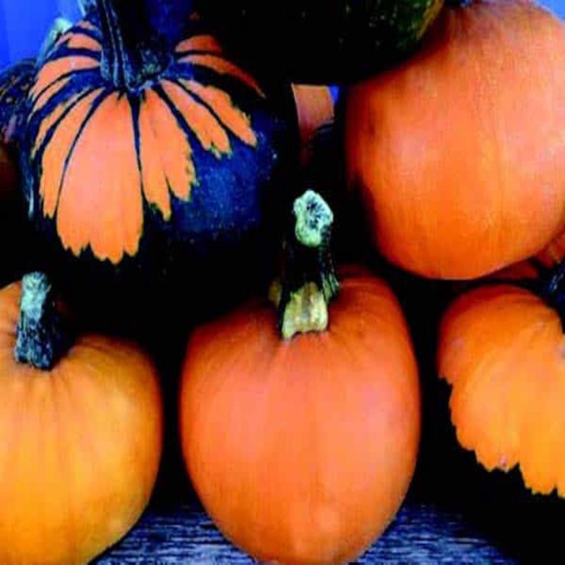 Bulk: Batwing Mix Pumpkin Seeds
