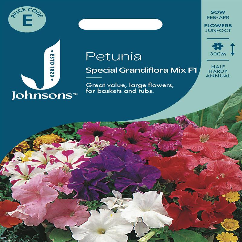 Johnsons - Petunia Special Grandiflora Mix F1 - 100 Seeds