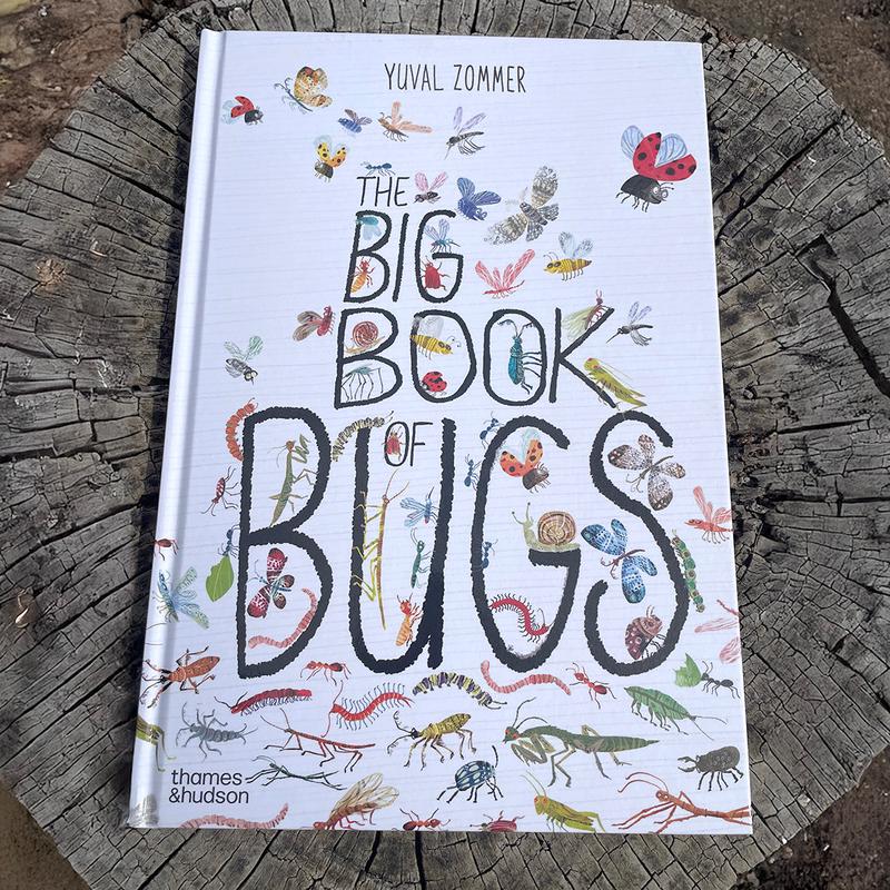 The Big Book of Bugs by Yuval Zommer