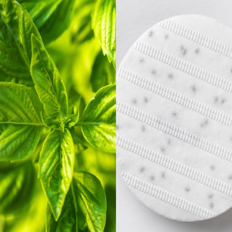 Basil Seed Disc