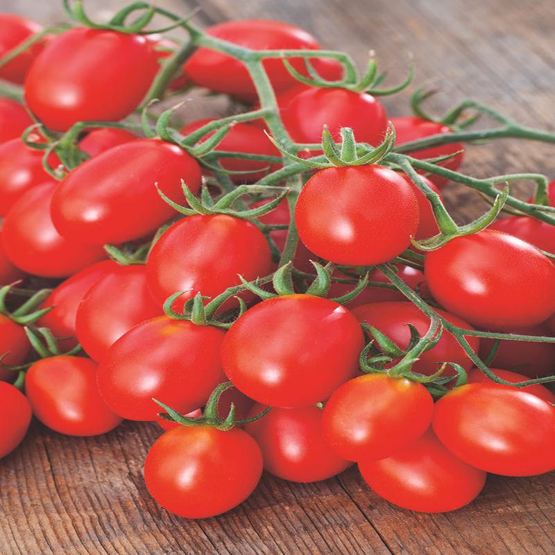 Tomato Grape Sweet Hearts F1 Hybrid