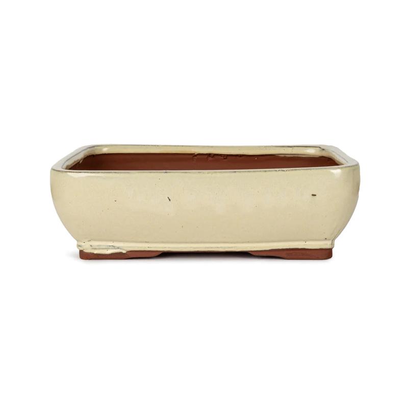 20 x 15 x 6 cm Glazed Bonsai Pot - Cream Rectangular