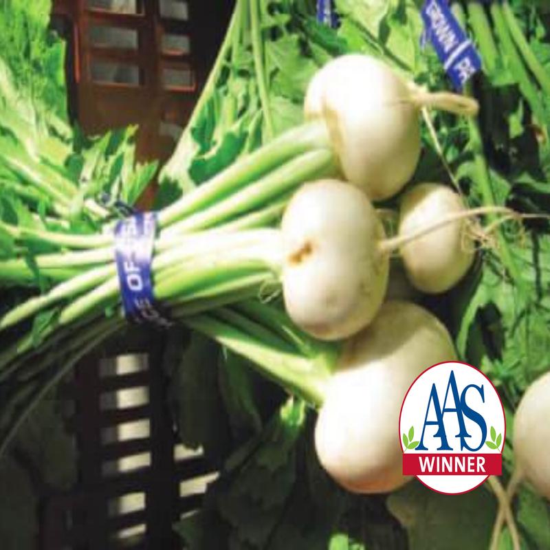 Tokyo Cross Hybrid Turnip Seeds