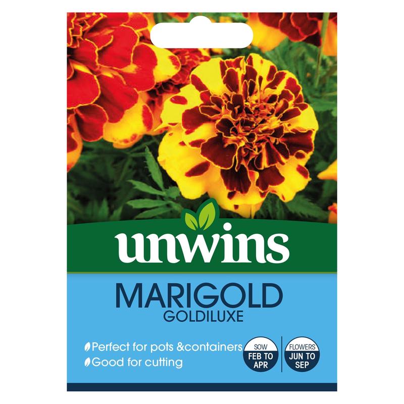 Unwins Marigold Goldiluxe 50 Seeds  African Marigold Mix