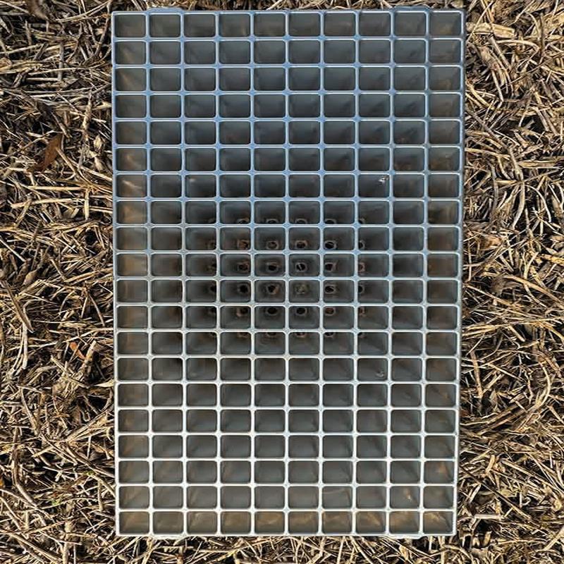 200-Cell Propagation Tray