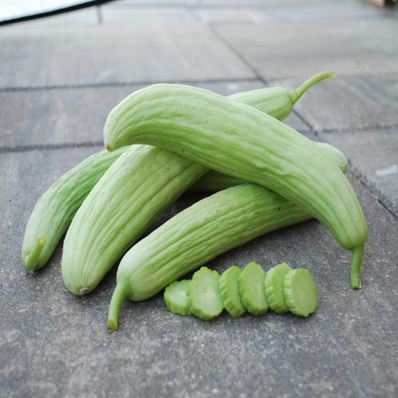Armenian Green Cucumber Seeds
