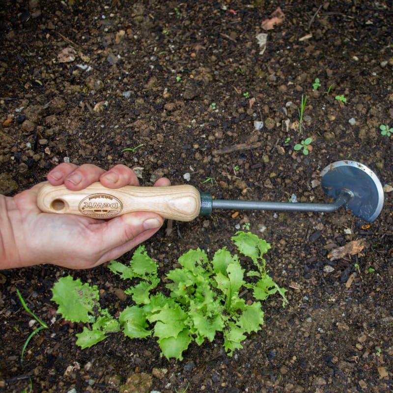 DeWit Disc Weeder