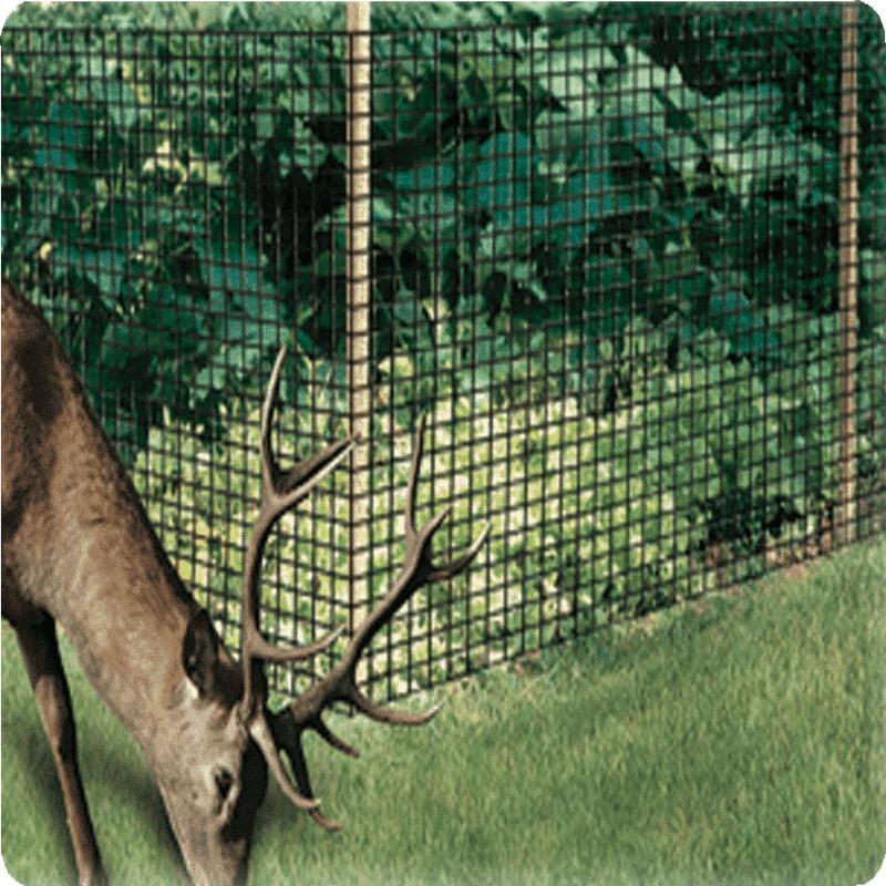 Anti Deer Fencing