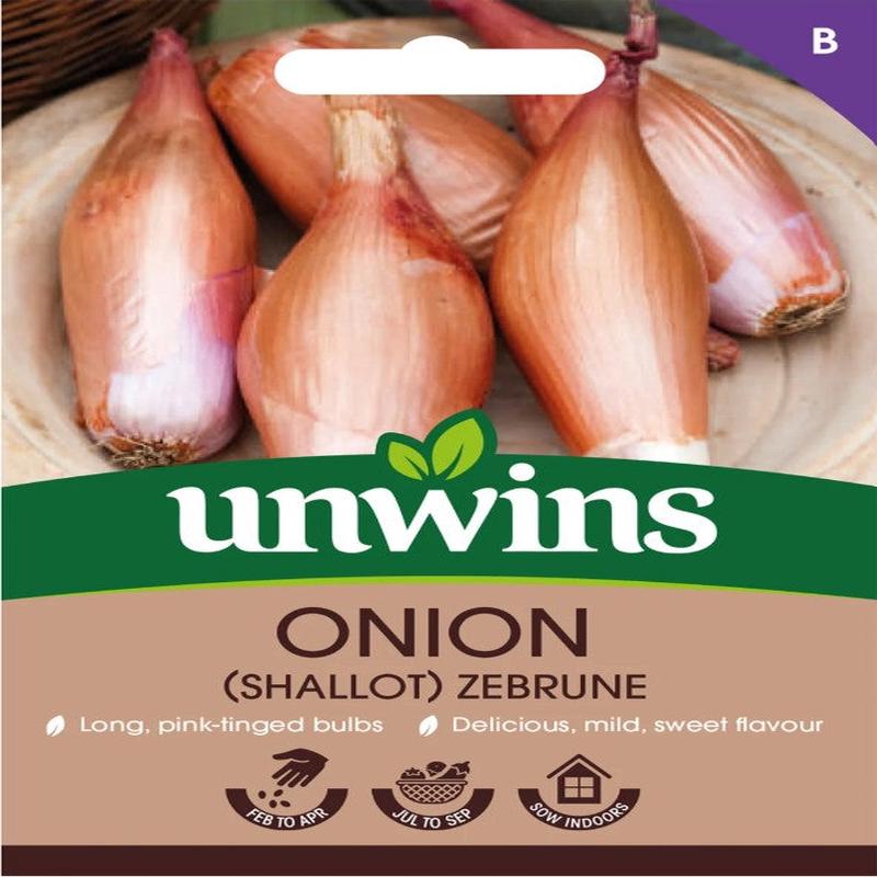 Unwins Vegetable Shallot Zebrune - 75 Seeds