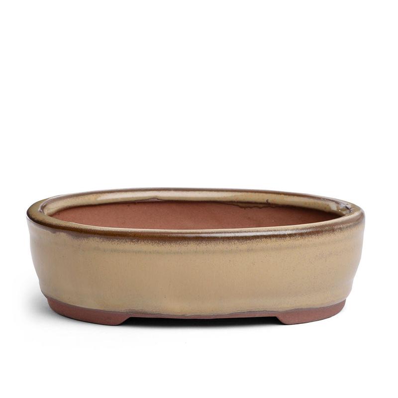 15.5 x 11.5 x 4.5cm Bonsai Container - Mustard