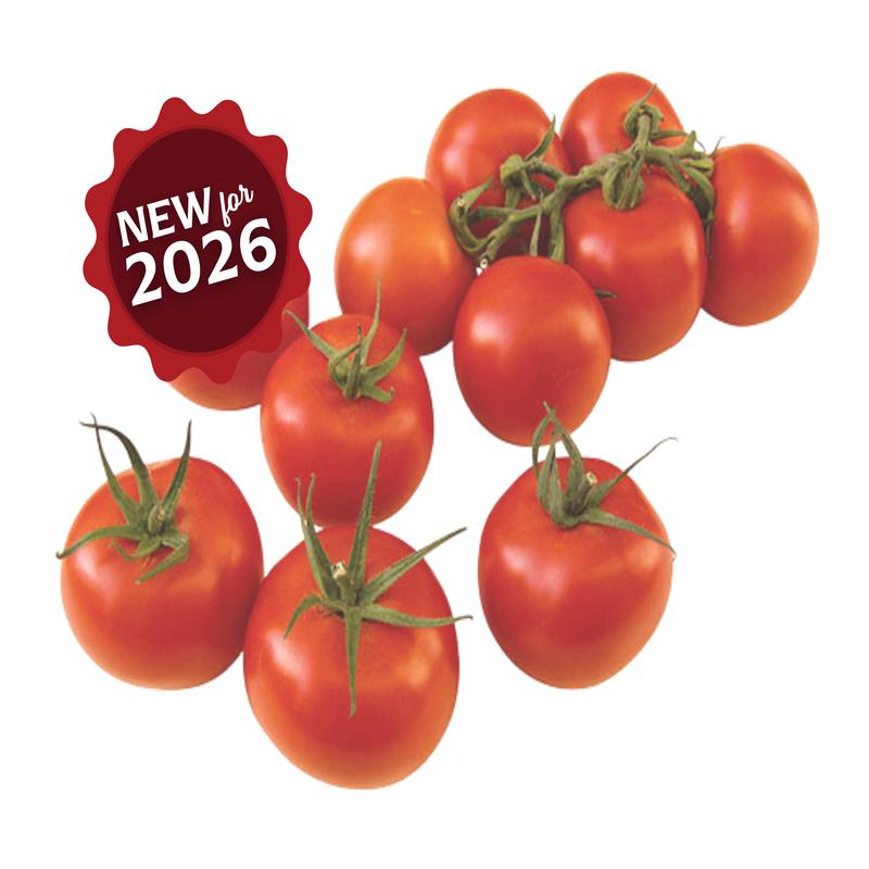 Sugar Cluster Hybrid VFFT Tomato Seeds