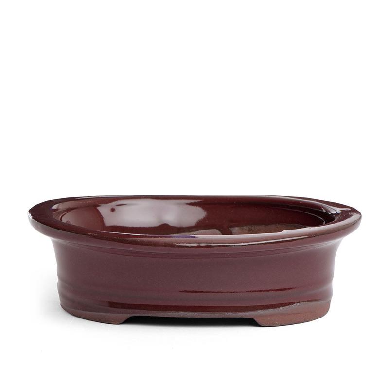 15 x 12 x 4cm Bonsai Container - Mustard Red