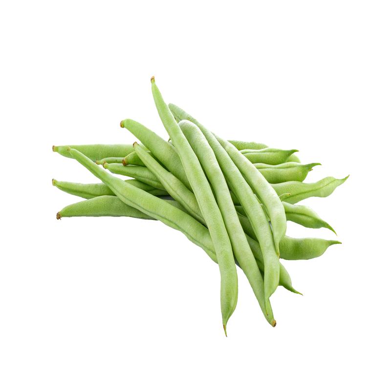 Volunteer Half-Runner Bean Seeds