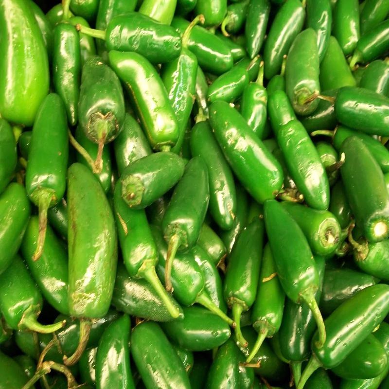 25 Organic Jalapeno Hot Pepper Vegetable Seeds