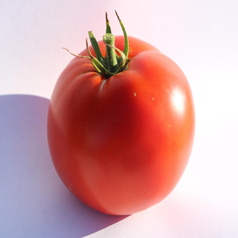 Big Beef Plus Hybrid Beefsteak VFFNTASt Tomato Seeds
