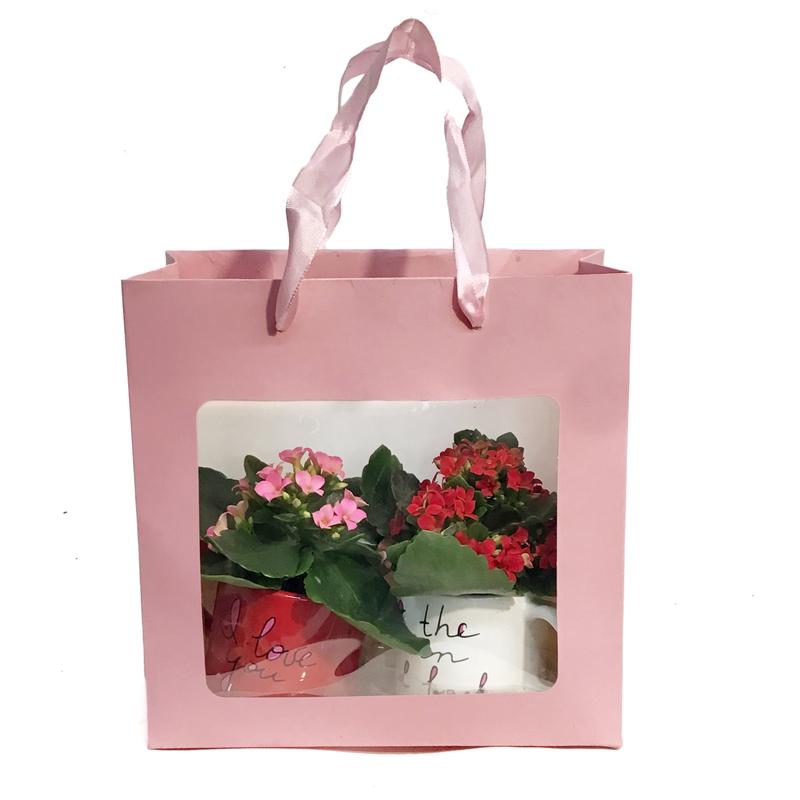 Valentines Planter, Sentiments Mugs