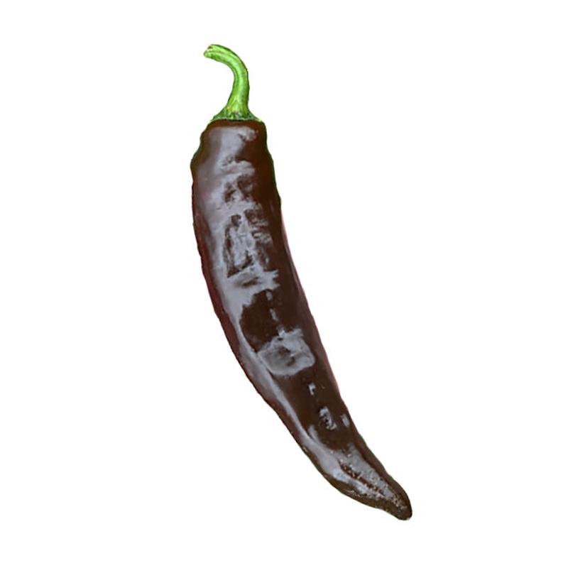 Vallero Pepper Seeds - Rich Flavor and Mild Heat from Mexico