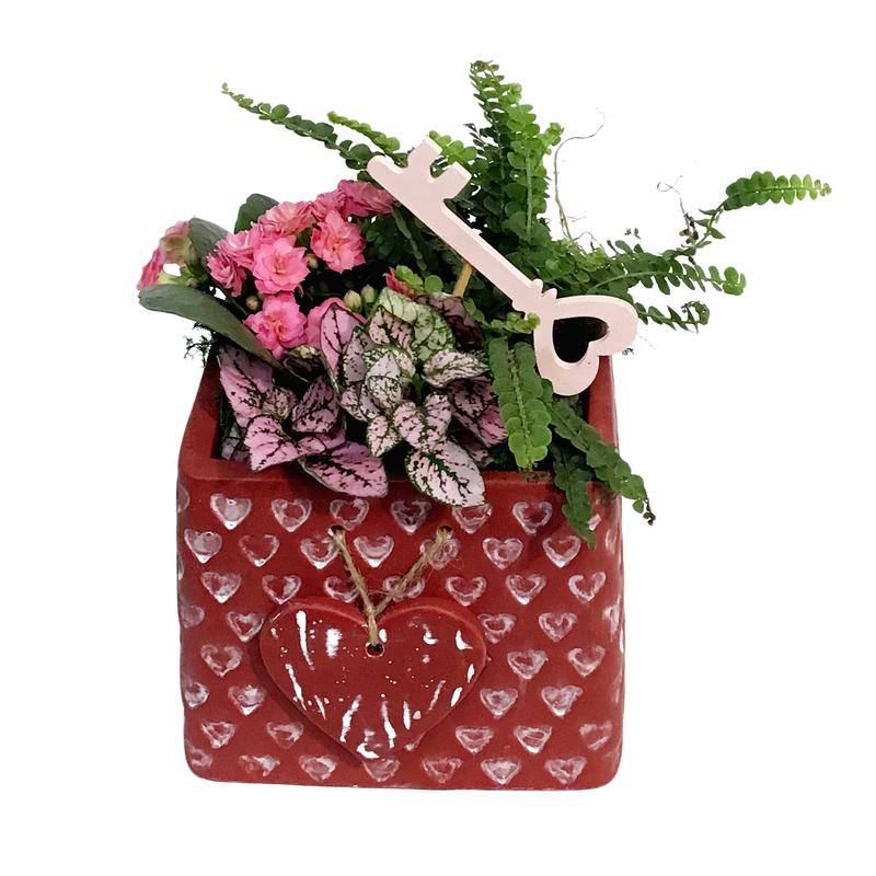 Valentines Planter, Devotion Bags, Assorted