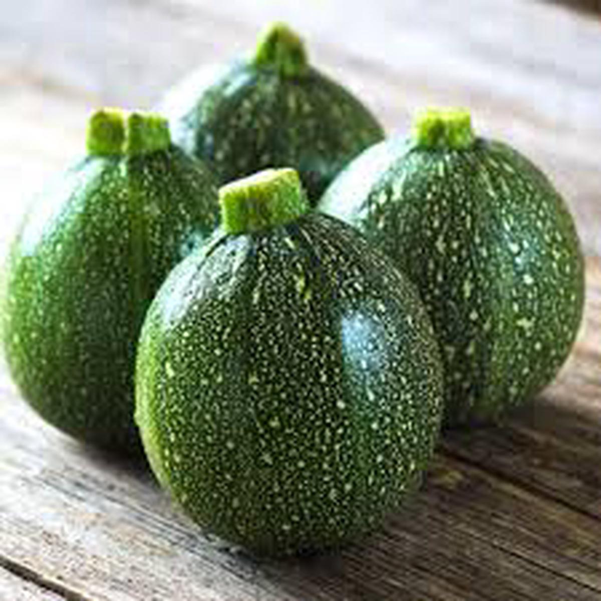 Zucchini Summer Squash Seeds for Planting  Heirloom, Non-GMO, Easy to Grow, High Yield Variety