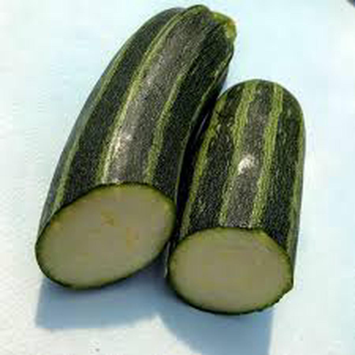 Zucchini Squash Seeds Cocozelle Variety  Heirloom, Non-GMO, Italian Summer Squash, Easy to Grow